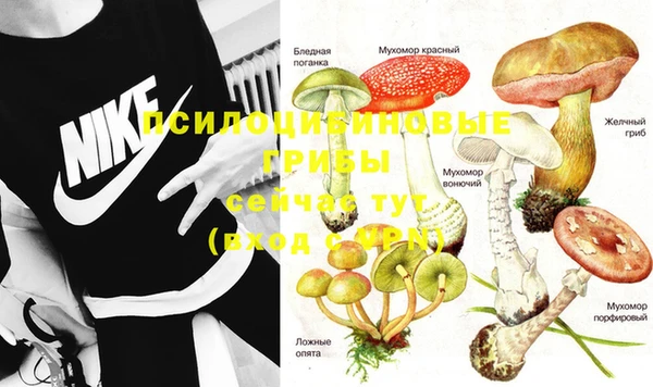 кристаллы Алексин