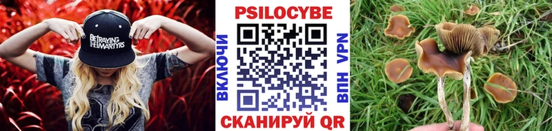 Купить  Унеча  Псилоцибиновые грибы MAGIC MUSHROOMS 
