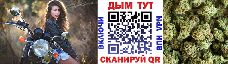 МАРИХУАНА OG Kush  Купить где  Унеча 